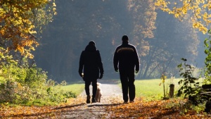 Duas pessoas andando por uma trilha de um bosque.