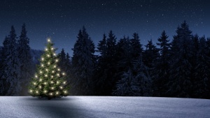 Uma árvore de natal iluminada em um campo de neve.