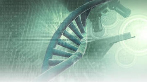 DNA: A Prova Genética da Existência de Deus 
