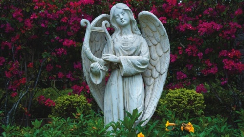 Estátua de anjo em um jardim.