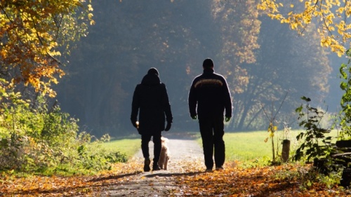 Duas pessoas andando por uma trilha de um bosque.