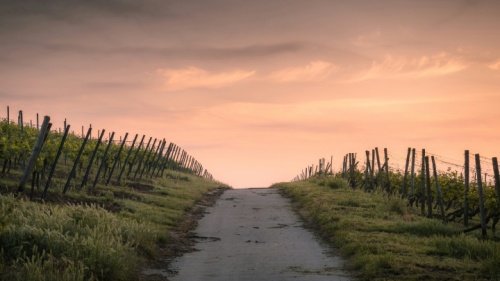 Um caminho indefinido que desaparece no horizonte.