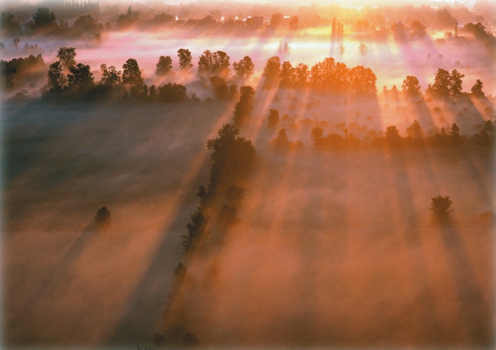 A Eternidade no Reino de DeusA sunrise over a field with a morning mist.