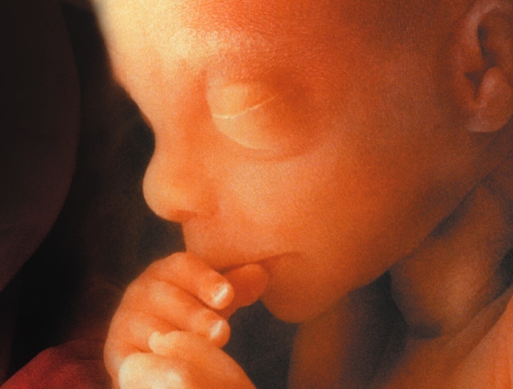 Um bebê na fase fetal.
