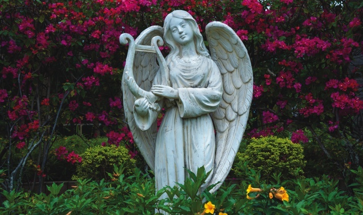 Estátua de anjo em um jardim.
