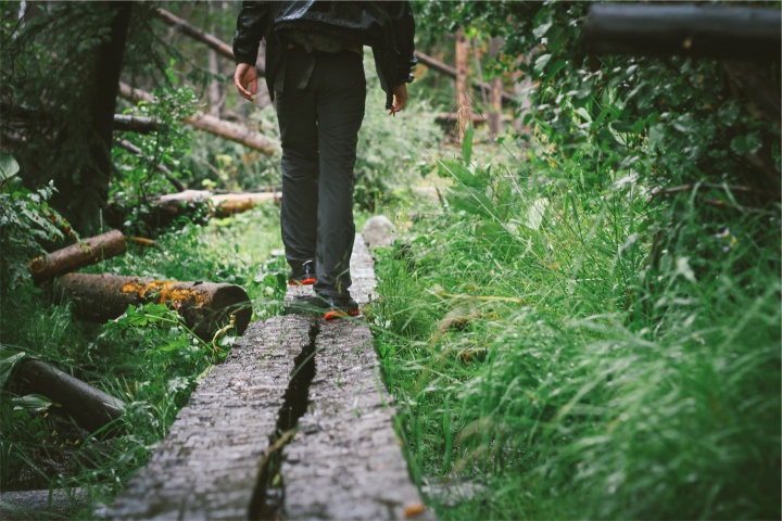 Uma pessoa andando em vigas de madeira pela floresta.