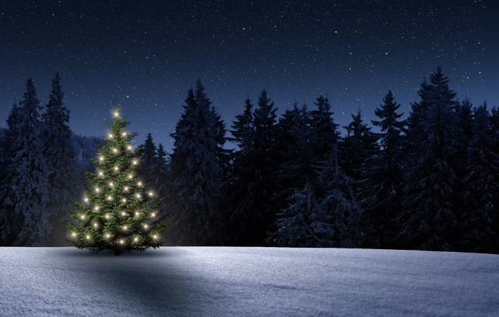 Uma árvore de natal iluminada em um campo de neve.
