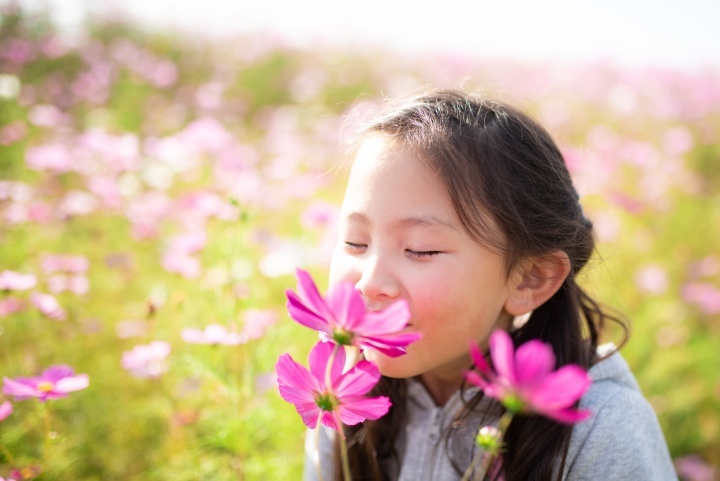 Uma garotinha cheirando flores rosadas.