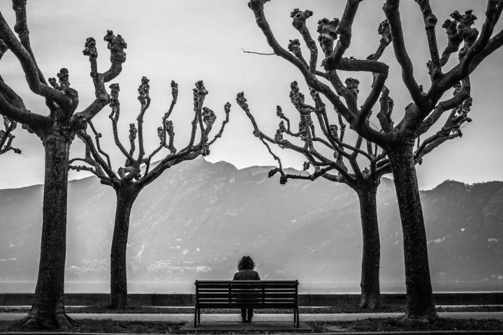 Uma pessoa sentada em um banco de parque entre algumas árvores.