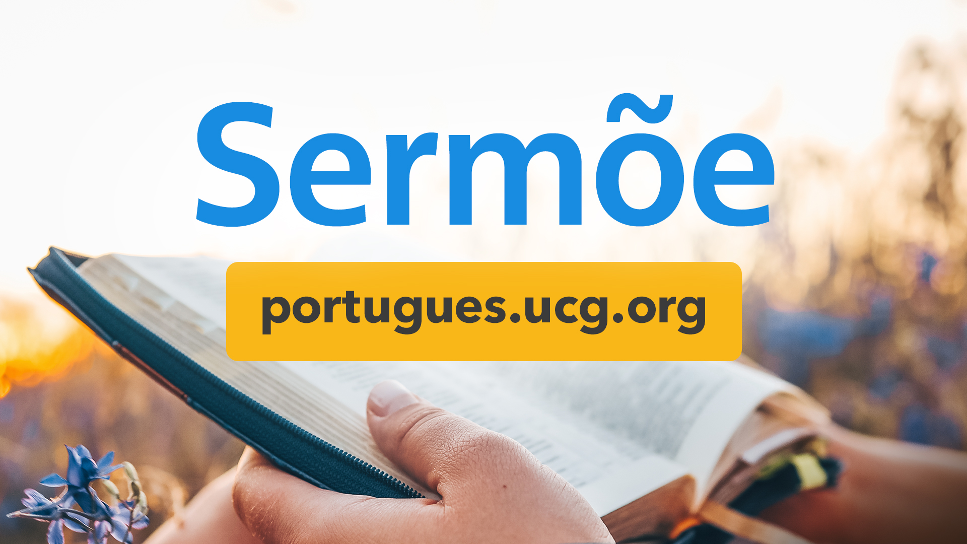 Sermão