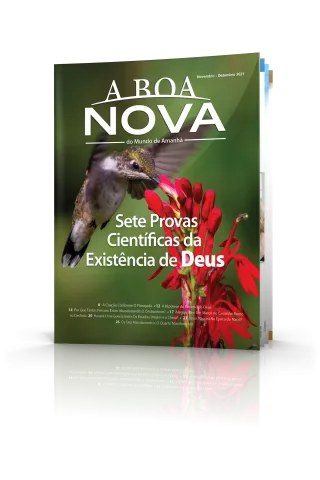 Novembro/Dezembro 2021