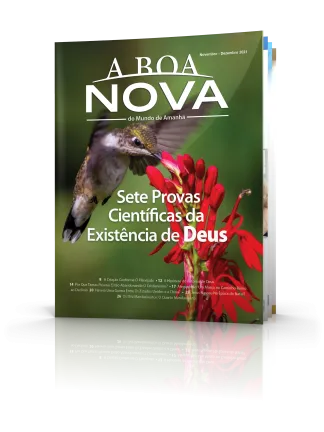 Novembro/Dezembro 2021