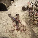 Quem realmente matou Jesus?