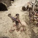 Por que Jesus Cristo foi Crucificado?