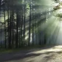 O Planeta Terra Sobreviverá e Florescerá!