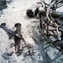 Jesus falhou como o Messias?