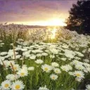 Chegando brevemente: O Milênio Magnífico!