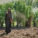 A Parábola do Semeador (Primeira parte)