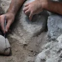 Tel Gezer Excavation Project