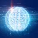 Ilustração do cérebro com linhas e números.