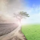 Uma ilustração fotográfica de solo seco e desolado tornando-se num solo com folhas verdes e uma árvore morta com folhas a crescer.