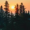 Uma cenário tranquilo com árvores, montanhas e o sol poente.