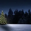 Uma árvore de natal iluminada em um campo de neve.