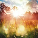 Raios solares iluminando um campo.