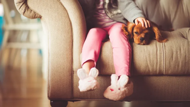 little girls with slippers petting a puppy