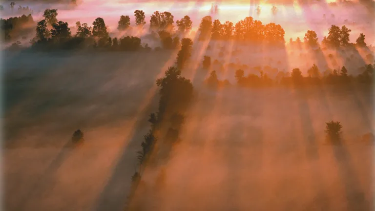 A Eternidade no Reino de DeusJesus Christ will return to establish that Kingdom on earth at His second coming, at last bringing the peace mankind has always longed for but never achieved. A Eternidade no Reino de DeusA sunrise over a field with a morning mist.