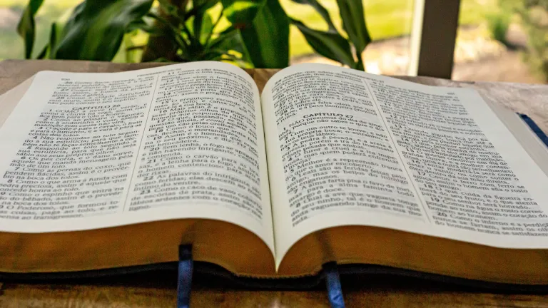 Bíblia em Português