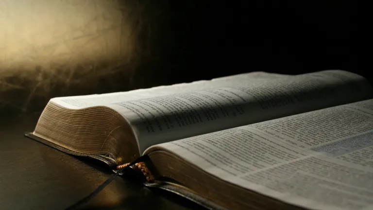 "Reino dos céus" é um termo usado exclusivamente por Mateus, com 32 referências em seu relato da vida de Jesus Cristo. Uma Bíblia aberta.