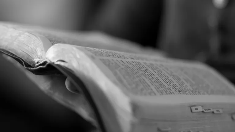 A Fé, a Graça e a Lei