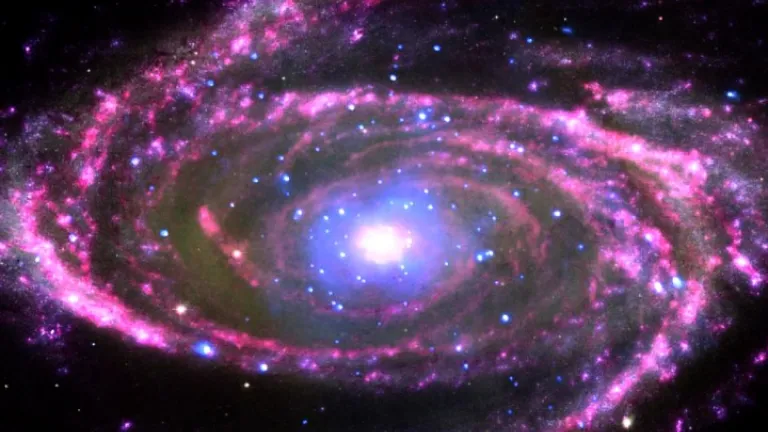 Uma constelação de estrelas.