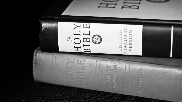 Two Bibles.