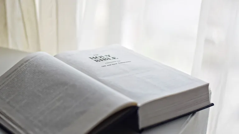 A Bible opened to the beginning pages.