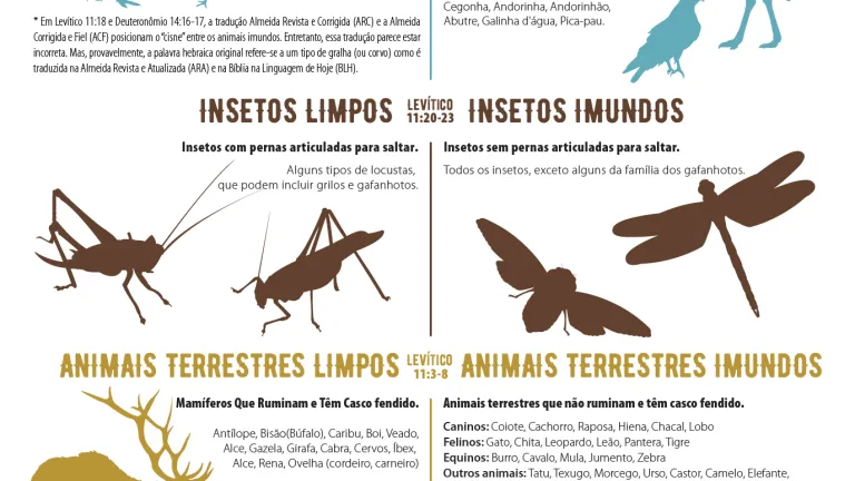 Infográfico: Carnes Limpas vs. Sujas