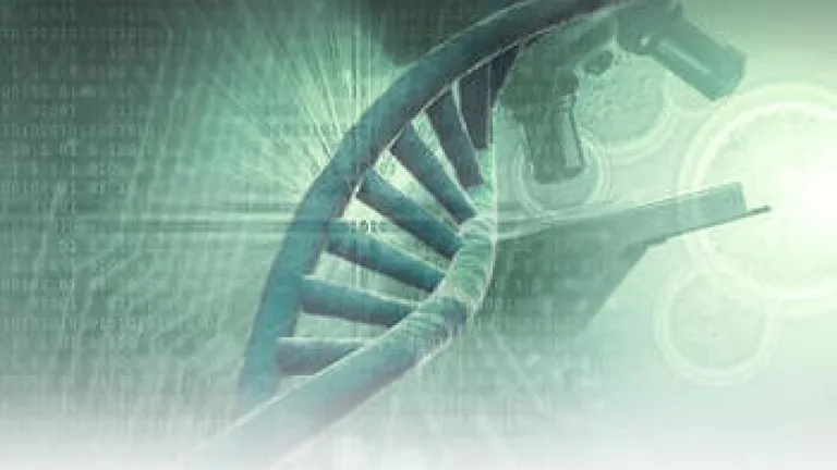 DNA: A Prova Genética da Existência de Deus