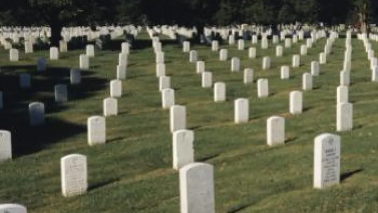 O Mistério das Ressurreições Mencionadas na Bíblia