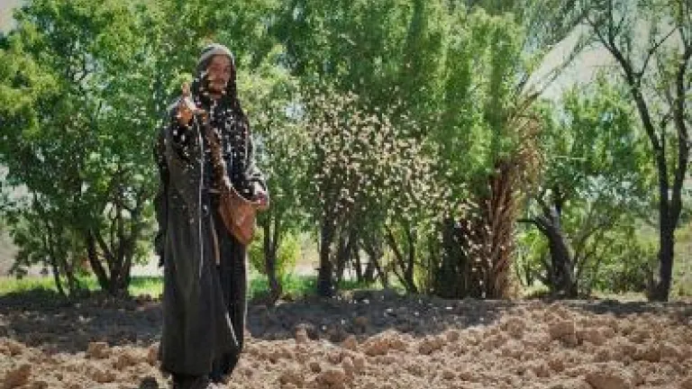 A Parábola do Semeador (Primeira parte)