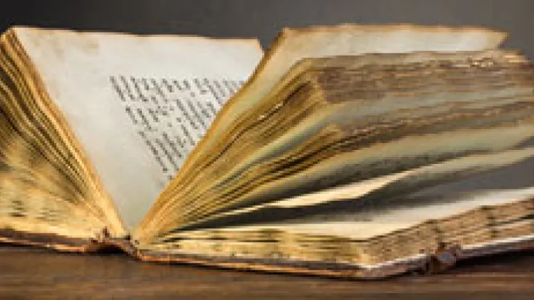 Mediveal looking Bible