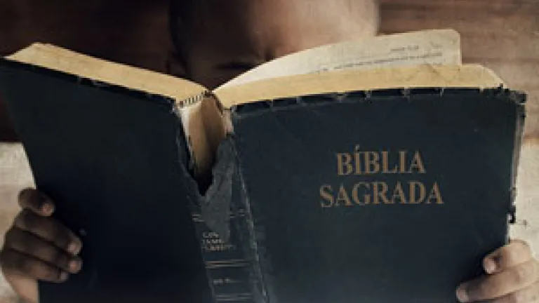 boy_reading-bible