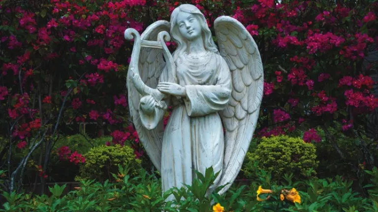 Estátua de anjo em um jardim.