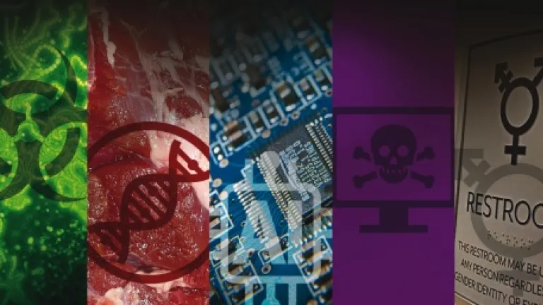 Lista visual de sete desdobramentos.