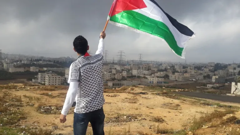 Um jovem com a bandeira da Palestina.