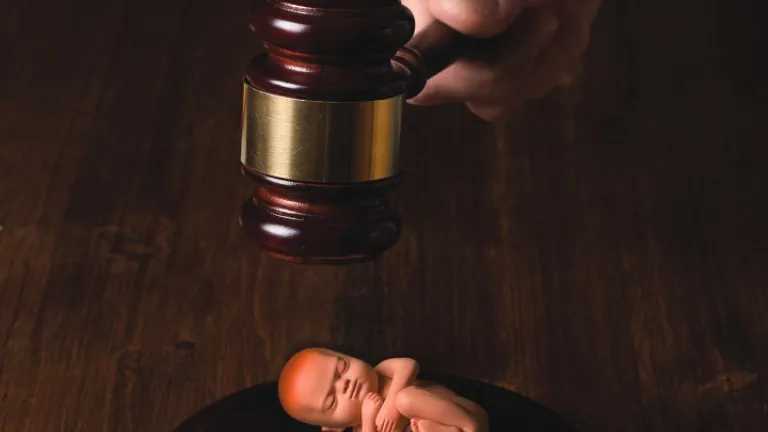 Uma ilustração dum bebê recém-nascido debaixo do martelo dum juiz.