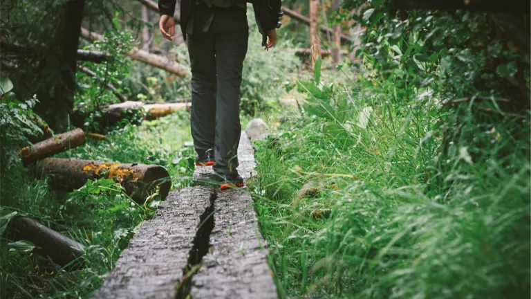 Aceitar o presente de Deus da vida eterna tem o maior custo que podemos imaginar. Como Jesus Cristo deu Sua vida por nós, devemos estar dispostos a dar nossas vidas para segui-Lo! Uma pessoa andando em vigas de madeira pela floresta.