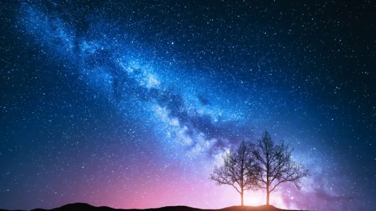 Árvores com raios de sol atrás delas.