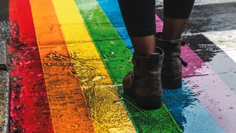 Embora raramente discutido, encontra-se bem documentado que as pessoas LGBTQ têm um risco muito maior de terem problemas de saúde física e mental do que a população em geral. Uma calçada pintada com as cores da bandeira LGBT.