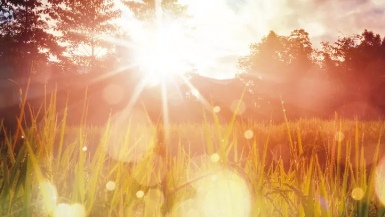 Enquanto a esperança humana é um desejo de algo incerto de realização, a esperança de Deus nunca deixará as pessoas desapontadas. Raios solares iluminando um campo.